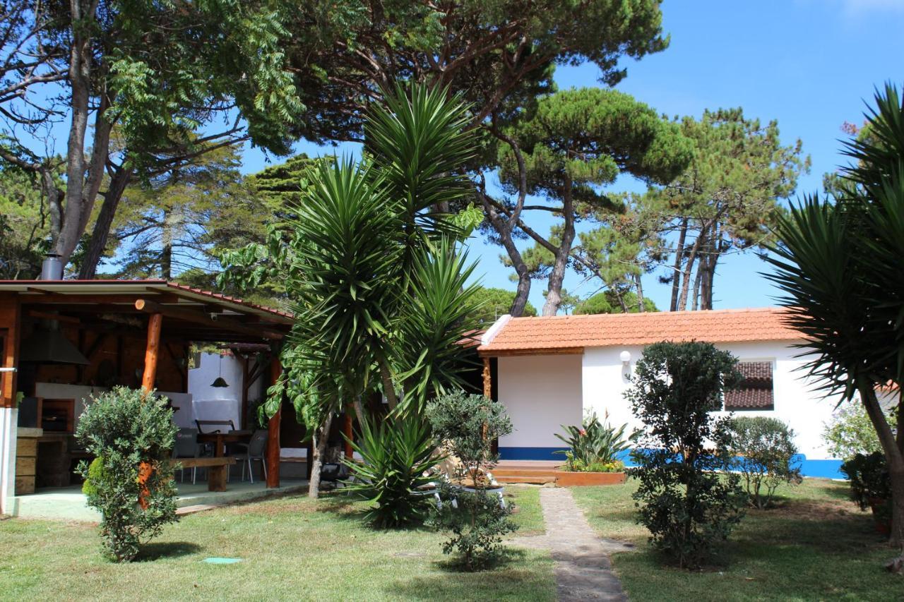 Casinha Do Pinhal Villa Colares Ngoại thất bức ảnh