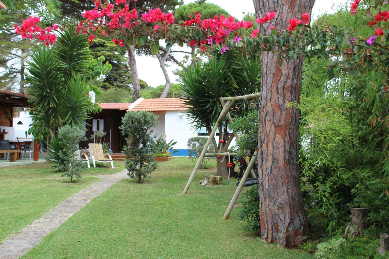 Casinha Do Pinhal Villa Colares Ngoại thất bức ảnh