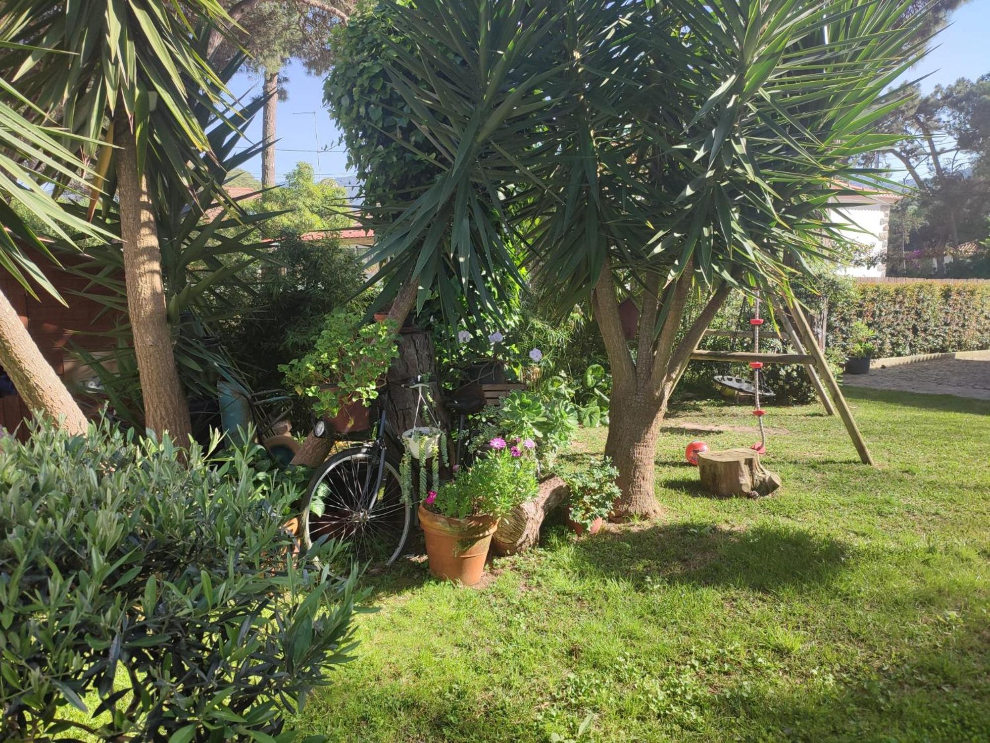 Casinha Do Pinhal Villa Colares Ngoại thất bức ảnh