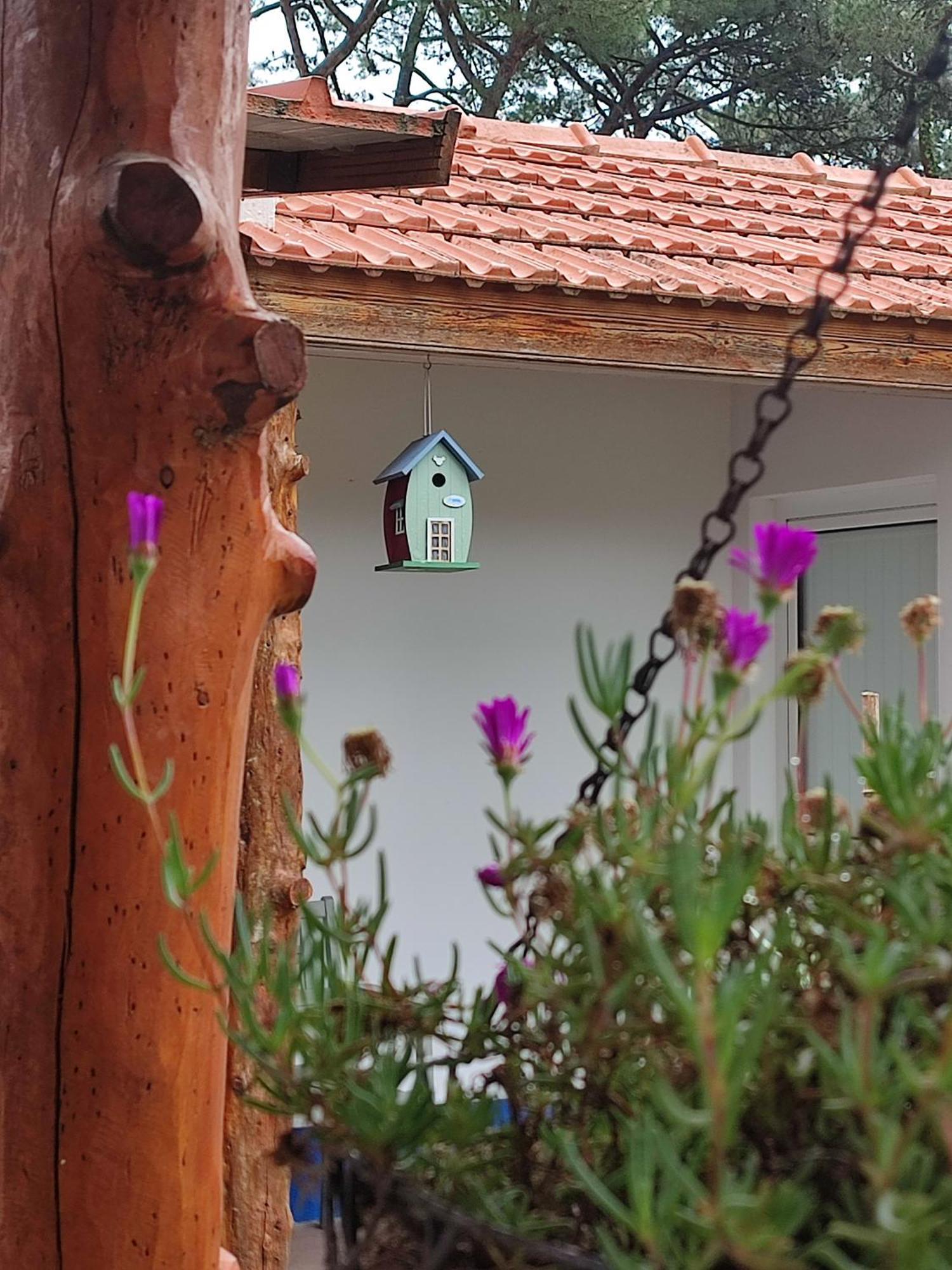 Casinha Do Pinhal Villa Colares Ngoại thất bức ảnh